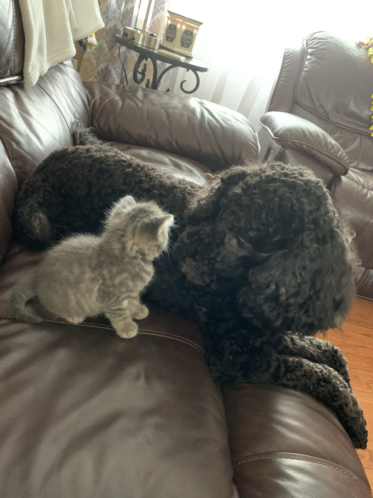 First meeting